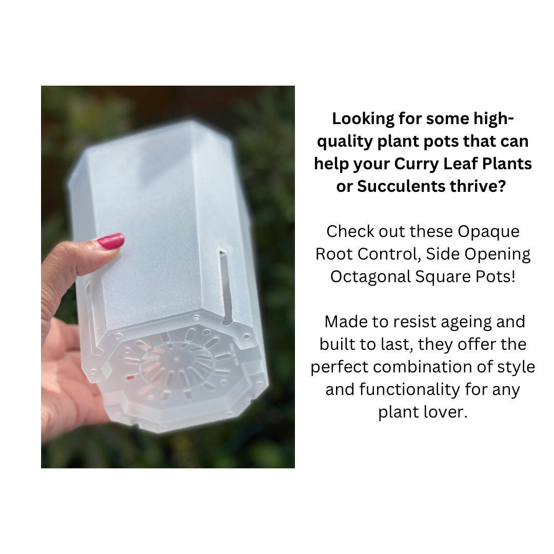 Root Control Pots (5 pieces)