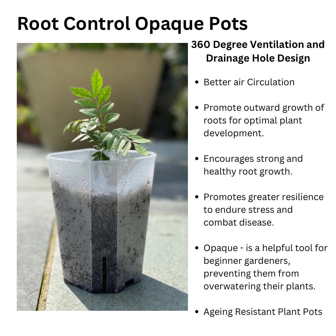 Root Control Pot